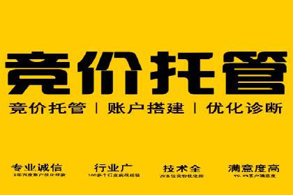 SEM竞价优化实战案例：精准定位目标客户